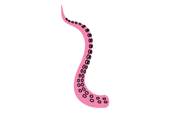Download Cute Part Mollusk Twisted Long Limb. Oct - Mollusk Collection