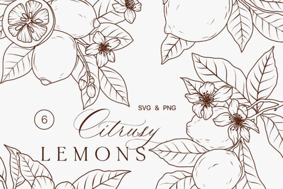 Download Lemon Fruits Line Art Clipart SVG - Lime - Line art clipart Collection