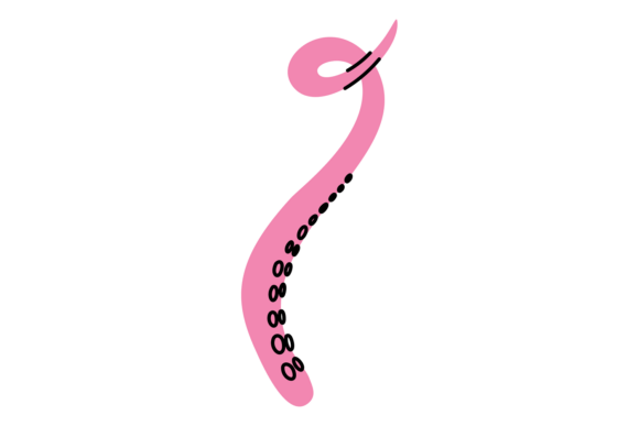 Download Octopus Pink Tentacle. Cute Mollusk. Car - Mollusk Collection