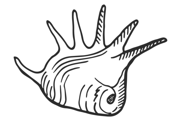 Download Seashell Icon. Hand Drawn Mollusk Shell - Mollusk Collection